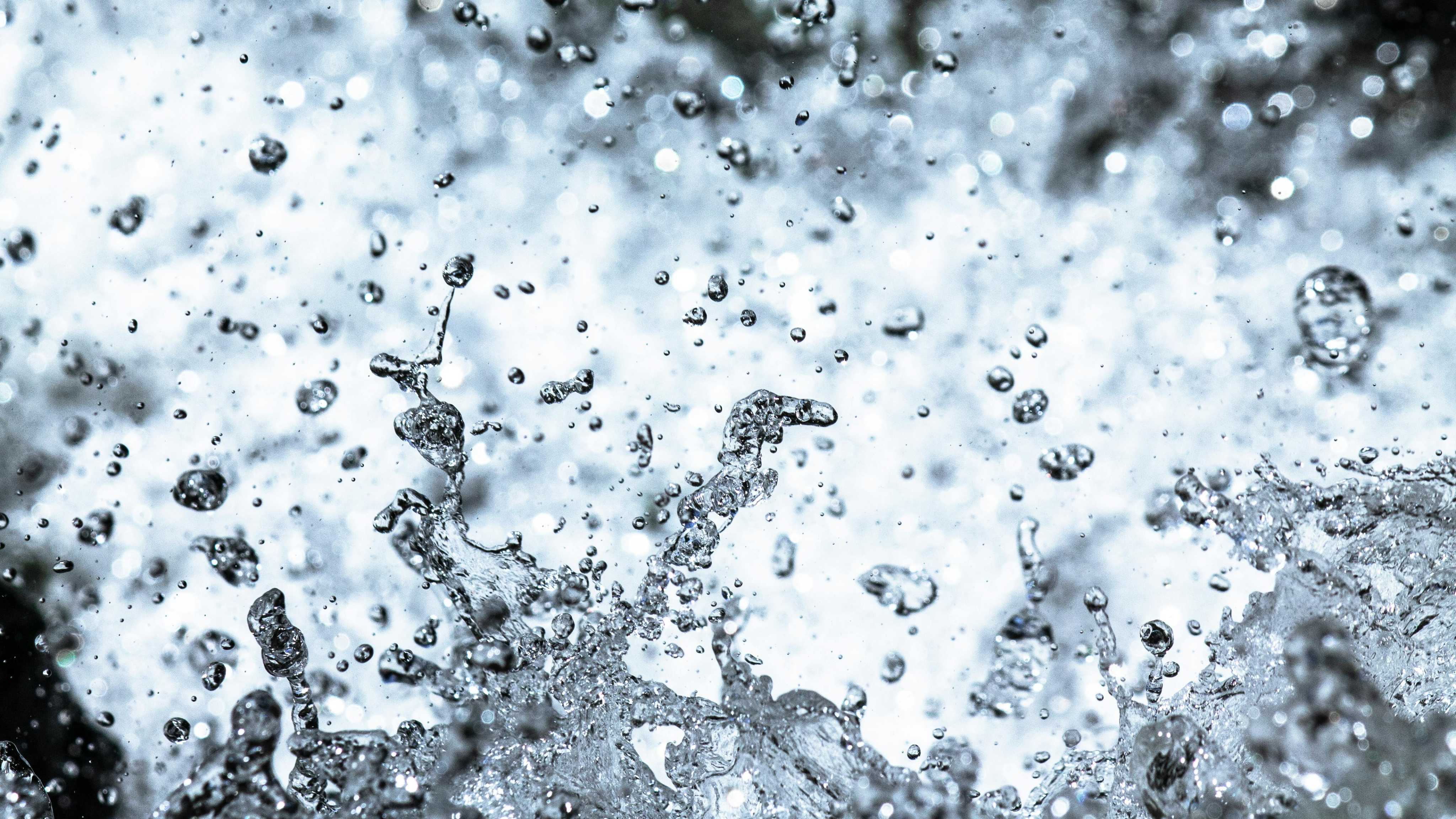 503b08ee1d1d81d5a1e2bf6465454f2dde8add07